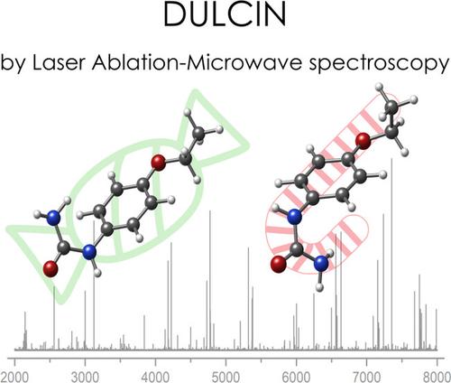 Rotational Spectroscopy as a Tool to Characterize Sweet Taste: The Study of Dulcin.