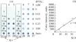 Bacterial Expression of Crm197: Investigation and Optimization of Gene Expression Factors for Effective Production in E. coli