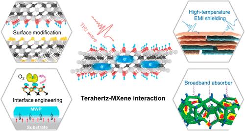 Mechanism of the Terahertz Wave-MXene Interaction and Surface/Interface Chemistry of MXene for Terahertz Absorption and Shielding.