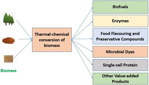 Valorization of Agriculture Residues into Value-Added Products: A Comprehensive Review of Recent Studies