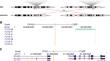 Chromosomal structural rearrangements implicate long non-coding RNAs in rare germline disorders.