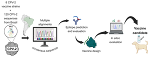 In silico designing of multi-epitope vaccine against canine parvovirus using reverse vaccinology.