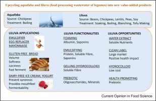 Upcycling aquafaba and liluva (food processing wastewater of legumes) into new value-added products