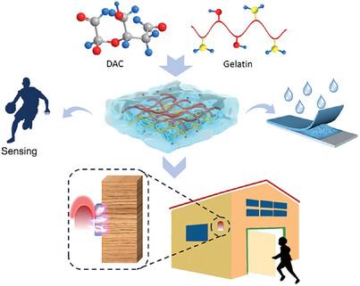 Cellulose‐Based Dual‐Network Conductive Hydrogel with Exceptional Adhesion