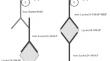 Development of Immunoassay for Detection of Engineered Endolysin LysAm24-SMAP