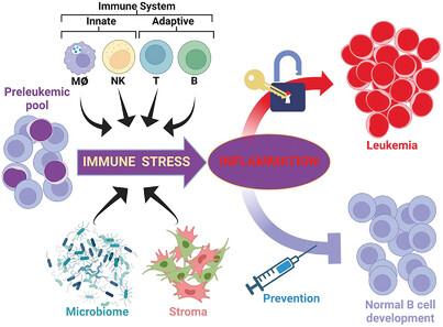 Childhood B cell leukemia: Intercepting the paths to progression