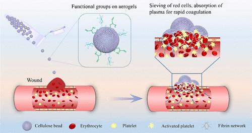 Engineering High-Performance Composite Cellulose Materials for Fast Hemostasis.