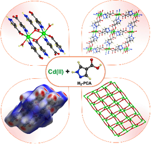 Synthesis, Structural Characterization and Hirshfeld Surface Analysis of a Novel Cd(II) Coordination Polymer with Mixed N- and O-donor Linker