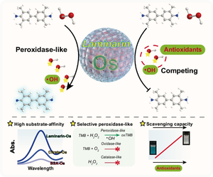 Laminarin-modulated osmium nanozymes with high substrate-affinity and selective peroxidase-like behavior engineered colorimetric assay for hydroxyl radical scavenging capacity estimation