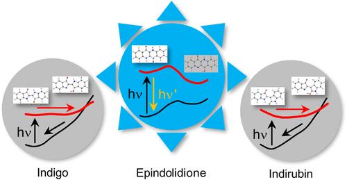 Excited-State Intramolecular Proton Transfer toward Conical Intersections in Indigo, Epindolidione, and Indirubin.
