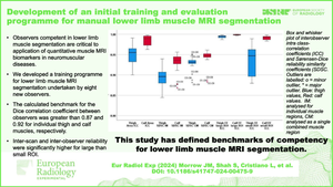 Development of an initial training and evaluation programme for manual lower limb muscle MRI segmentation.