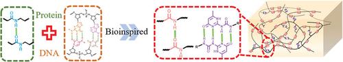 Hierarchical Hydrogen Bonds Endow Supramolecular Polymers with High Strength, Toughness, and Self‐Healing Properties