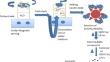 Synthesis and characterization of ZnO-NiO nanocomposites for photocatalytic and electrochemical storage applications