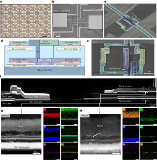 Monolithic three-dimensional integration of complementary two-dimensional field-effect transistors