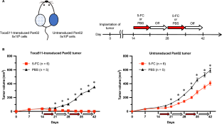 Therapeutic activity of retroviral replicating vector-mediated gene therapy in combination with anti-PD-1 antibody in a murine pancreatic cancer model