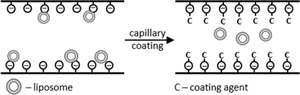 A comprehensive study on capillary surface modifications for electrophoretic separations of liposomes