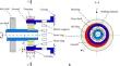 Vibration stability and bifurcation analysis of two-stage spur gear systems supported by squeeze film dampers