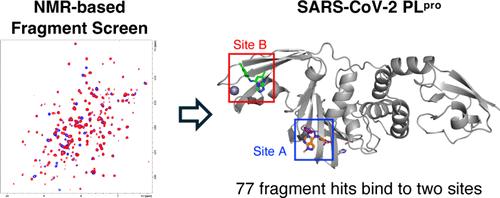 Fragment-Based Screen of SARS-CoV-2 Papain-like Protease (PLpro)