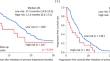 The Gustave Roussy Immune score is a powerful biomarker for predicting therapeutic resistance to chemotherapy in gastric cancer patients.