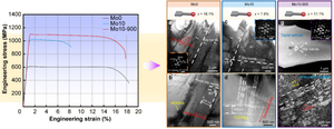 High strength-ductility synergy in refractory multi-principal element alloys via special deformation mechanisms and dislocation behaviors