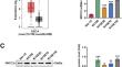 XRCC2 knockdown effectively sensitizes esophageal cancer to albumin-paclitaxel in vitro and in vivo.