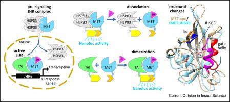 Agonist-dependent action of the juvenile hormone receptor