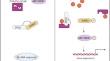 Genome-wide identification, phylogenetic, structural and functional evolution of the core components of ABA signaling in plant species: a focus on rice.