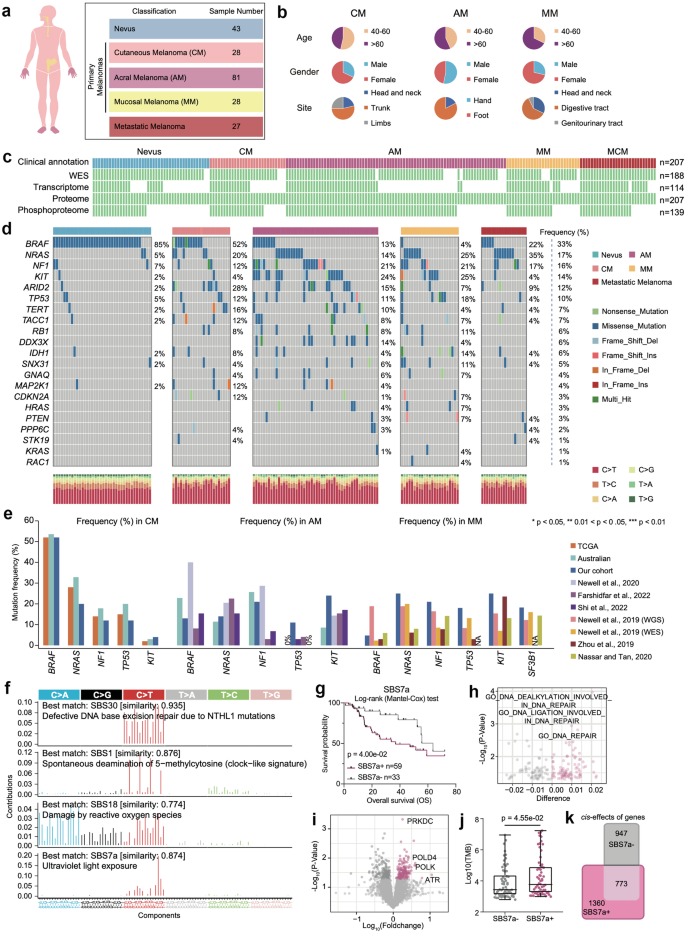 Proteogenomic insights into the biology and treatment of pan-melanoma.