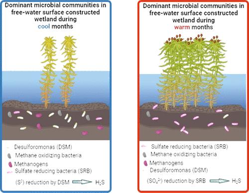 Microbial Community Changes across Time and Space in a Constructed Wetland