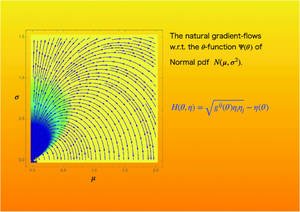 A Hamiltonian approach to the gradient-flow equations in information geometry