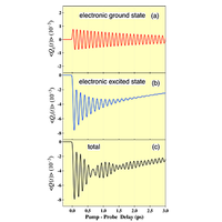 Dual role of longitudinal optical phonons for generation of coherent oscillations in gallium arsenide under optical pumping