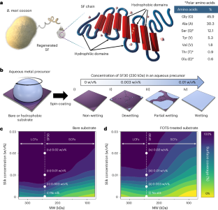 Silk fibroin as a surfactant for water-based nanofabrication