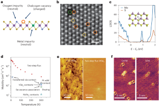 Critical challenges in the development of electronics based on two-dimensional transition metal dichalcogenides