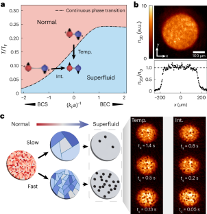 Universal Kibble–Zurek scaling in an atomic Fermi superfluid