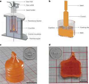 Suppressed ion migration for high-performance X-ray detectors based on atmosphere-controlled EFG-grown perovskite CsPbBr3 single crystals