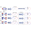 Spin-layer coupling in two-dimensional altermagnetic bilayers with tunable spin and valley splitting properties