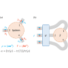 Unitary control of partially coherent waves. I. Absorption