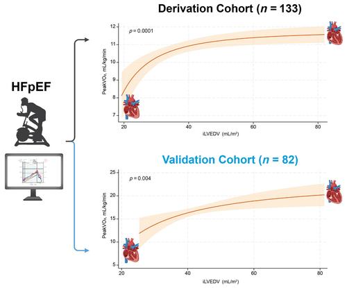 Left ventricular volume and maximal functional capacity in heart failure with preserved ejection fraction: Size matters.