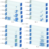 Coupling of spallation and microjetting in aluminum at the atomic scale