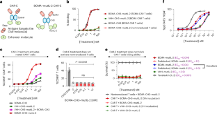 A CAR enhancer increases the activity and persistence of CAR T cells