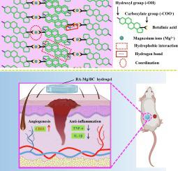 A simple and universal approach for fabricating bioactive self-stacked hydrogels with enhanced therapeutic efficacy