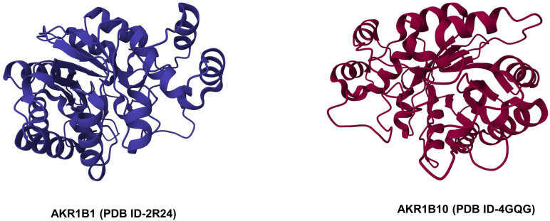 Aldo-keto reductases: Role in cancer development and theranostics.