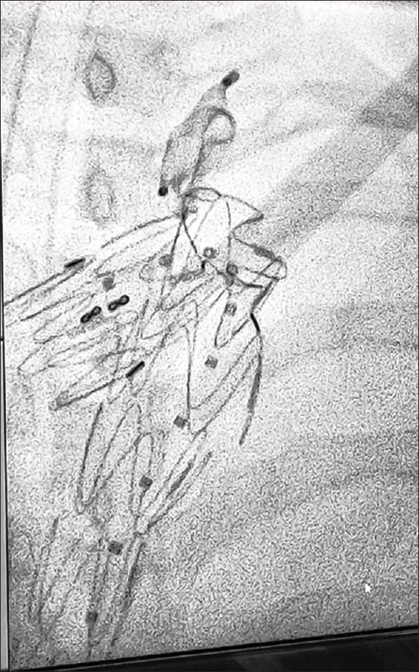 Abstract Image
