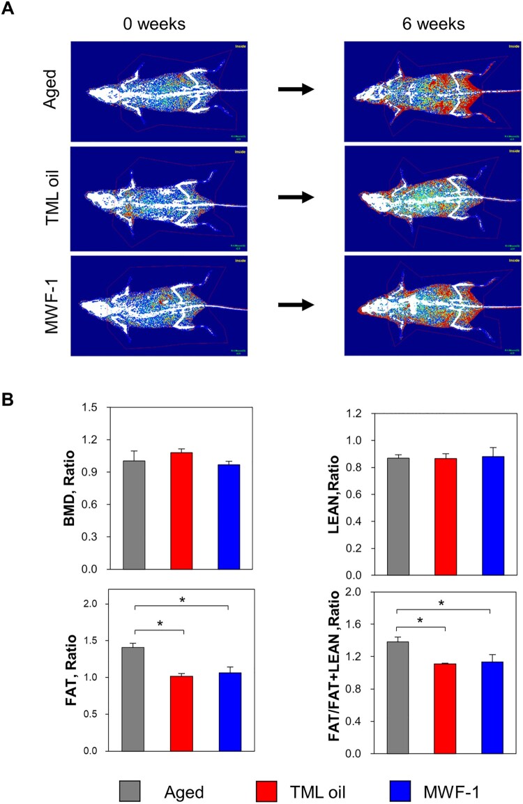 Anti-obesity and immunomodulatory effects of oil and fermented extract dried from <i>Tenebrio molitor</i> larvae on aged obese mice.