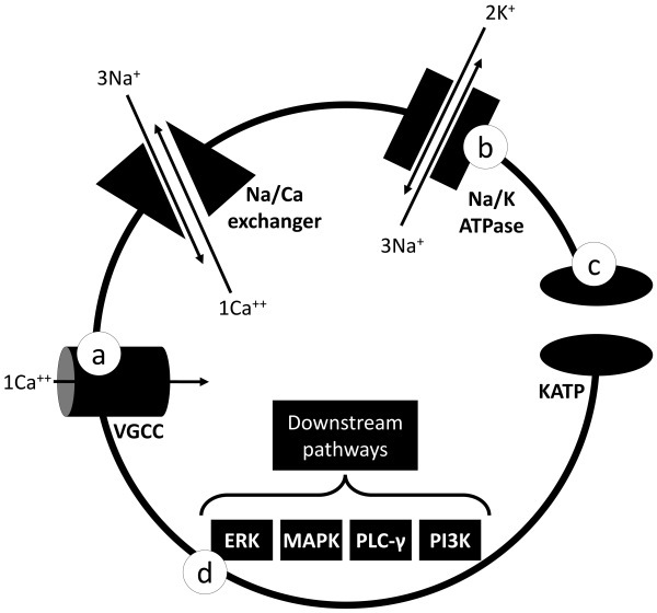 Navigating the Complexity of Alternating Hemiplegia in Childhood: A Comprehensive Review.