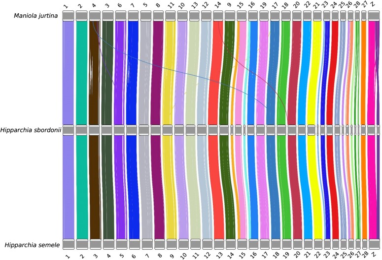 Abstract Image