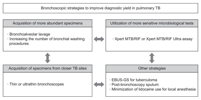 Bronchoscopic Strategies to Improve Diagnostic Yield in Pulmonary Tuberculosis Patients.