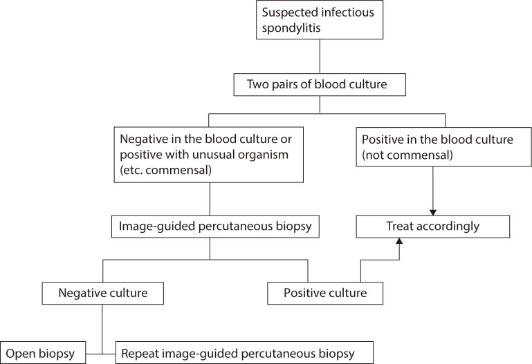 Epidemiology and management of infectious spondylitis in Korea: a narrative review.