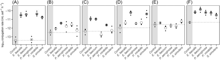 Community context influences the conjugation efficiency of <i>Escherichia coli</i>.