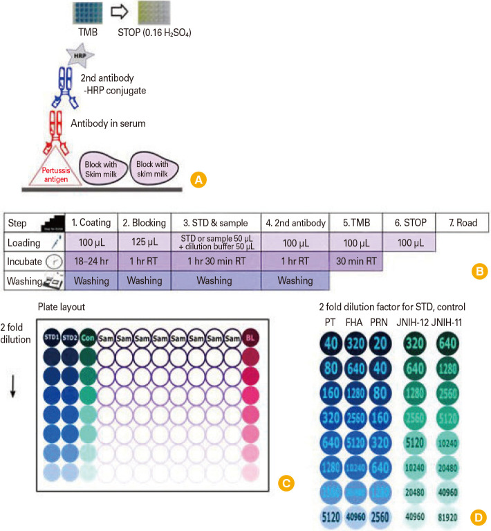 Development and validation of enzyme-linked immunosorbent assay for anti-mouse pertussis immunoglobulin G using international reference anti-<i>Bordetella pertussis</i> mouse serum NIBSC 97/642.